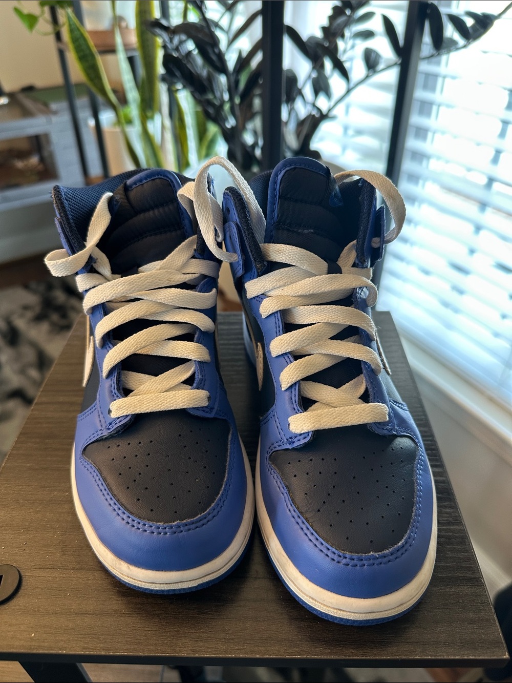 Nike Dunk High PS 2Y